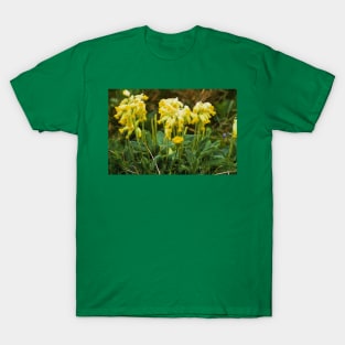 Cowslips with a liquid lines texture T-Shirt